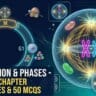 Cell-Division