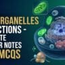 Cell-Organelles