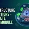 Cell-Structure