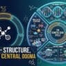 DNA-AND-RNA